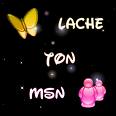 MSN